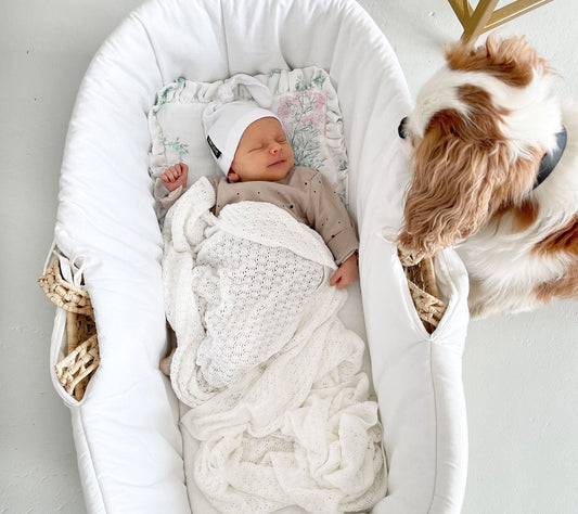Newborn baby in a moses basket with a baby blanket