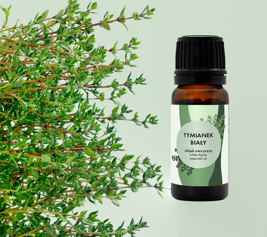 White Thyme Essential Oil – Thymol BAYS