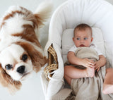 Soft All Season Bamboo Baby Blanket "Popcorn" - Beige Blanket Lullalove UK 